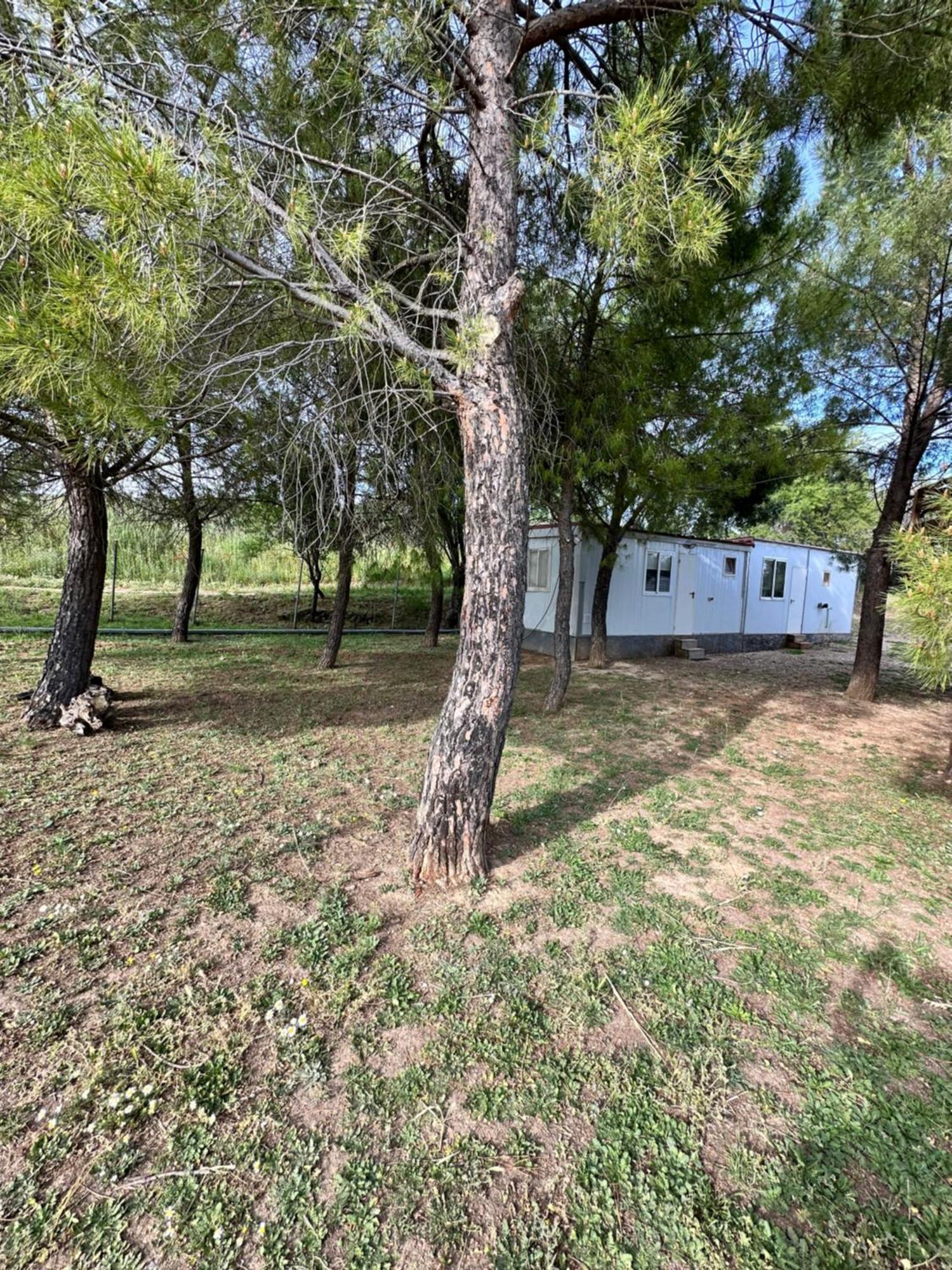 Bungalow Golosina Torrelaguna Exteriör bild